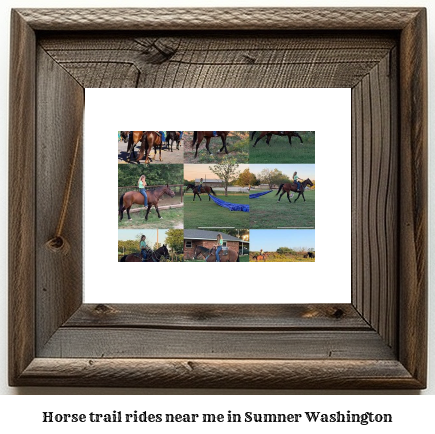 horse trail rides near me in Sumner, Washington